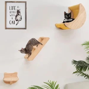 Cat Shelf for Wall Hammock